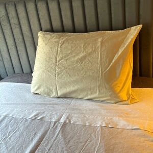 /Every day Luxe KS Sears Designer Pillow case